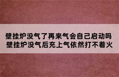 壁挂炉没气了再来气会自己启动吗 壁挂炉没气后充上气依然打不着火